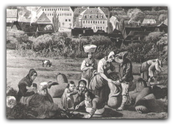 Her ses billede fra en kartoffelhøst i 1700-tallet.